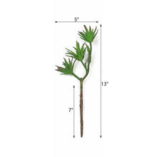 Load image into Gallery viewer, Set of 3 | 13" Assorted Artificial Succulent Plants Yucca Aloe Vera Long Stem Air Plants