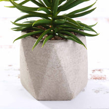 Load image into Gallery viewer, Set of 3 | 8" Assorted Spiky Crassula Artificial Plants with Pots