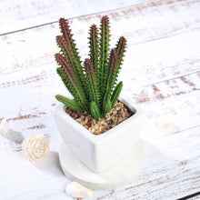 Load image into Gallery viewer, Set of 3 | 7" Assorted Cactus Artificial Plants with Pots