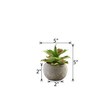 Load image into Gallery viewer, Set of 3 | 5" Assorted Aloe Varietal Artificial Plants with Pots