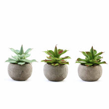 Load image into Gallery viewer, Set of 3 | 5" Assorted Aloe Varietal Artificial Plants with Pots