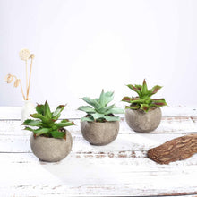 Load image into Gallery viewer, Set of 3 | 5" Assorted Aloe Varietal Artificial Plants with Pots