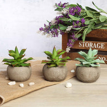 Load image into Gallery viewer, Set of 3 | 5" Assorted Aloe Varietal Artificial Plants with Pots