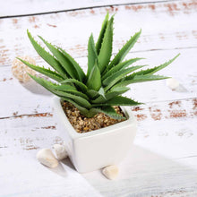 Load image into Gallery viewer, Set of 3 | 5" Assorted Spotted Aloe Vera Artificial Plants with Pots