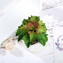 Load image into Gallery viewer, Set of 3 | 5" Assorted Wavy Kalanchoe Artificial Plants with Pots
