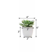 Load image into Gallery viewer, Set of 3 | 4" Assorted Echeveria Artificial Plants with Pots