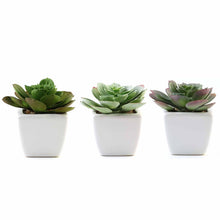 Load image into Gallery viewer, Set of 3 | 4" Assorted Echeveria Artificial Plants with Pots