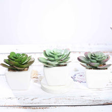 Load image into Gallery viewer, Set of 3 | 4" Assorted Echeveria Artificial Plants with Pots