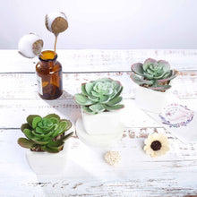 Load image into Gallery viewer, Set of 3 | 4" Assorted Echeveria Artificial Plants with Pots