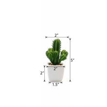 Load image into Gallery viewer, Set of 3 | 5" Assorted Cactus Artificial Plants with Pots