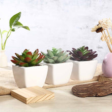 Load image into Gallery viewer, Set of 3 | 4'' Assorted Echeveria Artificial Plants with Pots
