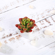 Load image into Gallery viewer, Set of 3 | 3'' Assorted Mini Echeveria Artificial Plants with Pots