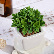 Load image into Gallery viewer, Set of 3 | 4'' Assorted Green Echeveria Artificial Plants with Pots
