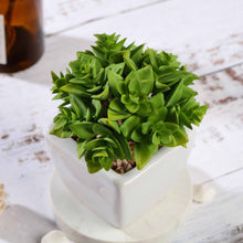 Load image into Gallery viewer, Set of 3 | 4'' Assorted Green Echeveria Artificial Plants with Pots