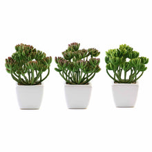 Load image into Gallery viewer, Set of 3 | 7'' Assorted Stonecrop Artificial Plants with Pots