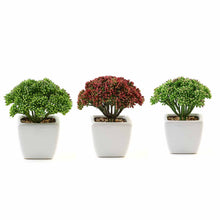 Load image into Gallery viewer, Set of 3 | 6'' Assorted Autumn Joy Sedum Artificial Plants with Pots