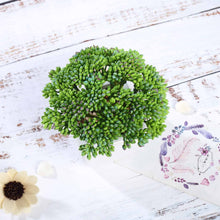 Load image into Gallery viewer, Set of 3 | 6'' Assorted Autumn Joy Sedum Artificial Plants with Pots