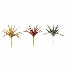 Load image into Gallery viewer, Set of 3 | 12" Aloe Cameronii Decorative Artificial Plants