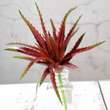 Load image into Gallery viewer, Set of 3 | 12" Aloe Cameronii Decorative Artificial Plants