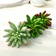 Load image into Gallery viewer, Set of 3 | 6" Spike Aeonium Decorative Artificial Plants