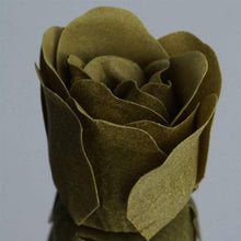 Load image into Gallery viewer, Scented Rose Soap Gift Box - Willow Green