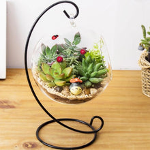 Load image into Gallery viewer, Set of 3 | 3" Echeveria Orion Decorative Artificial Plants