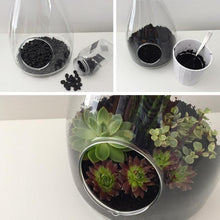 Load image into Gallery viewer, Set of 3 | 3" Parva Echeveria Stems Decorative Artificial Plants
