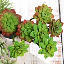 Load image into Gallery viewer, Set of 3 | 12" Assorted Artificial Succulent Plants Echeveria Long Stem Air Plants

