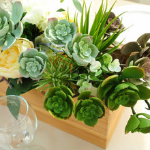 Load image into Gallery viewer, Set of 3 | 18" Assorted Artificial Succulent Plants Echeveria Long Stem Air Plants
