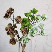 Load image into Gallery viewer, Set of 3 | 18" Assorted Artificial Succulent Plants Echeveria Long Stem Air Plants
