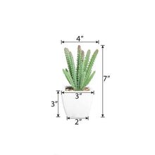 Load image into Gallery viewer, Set of 3 | 7" Assorted Cactus Artificial Plants with Pots
