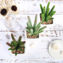 Load image into Gallery viewer, Set of 3 | 7" Assorted Cactus Artificial Plants with Pots
