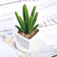 Load image into Gallery viewer, Set of 3 | 7" Assorted Cactus Artificial Plants with Pots
