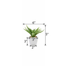 Load image into Gallery viewer, Set of 3 | 5" Assorted Spotted Aloe Vera Artificial Plants with Pots
