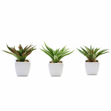 Load image into Gallery viewer, Set of 3 | 5" Assorted Spotted Aloe Vera Artificial Plants with Pots
