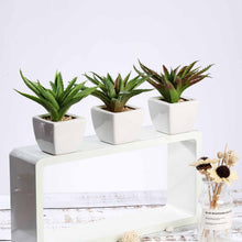 Load image into Gallery viewer, Set of 3 | 5" Assorted Spotted Aloe Vera Artificial Plants with Pots
