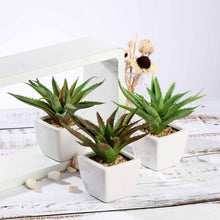 Load image into Gallery viewer, Set of 3 | 5" Assorted Spotted Aloe Vera Artificial Plants with Pots
