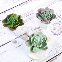 Load image into Gallery viewer, Set of 3 | 4" Assorted Echeveria Artificial Plants with Pots

