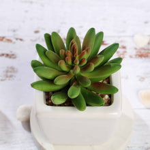 Load image into Gallery viewer, Set of 3 | 4'' Assorted Lotus Artificial Plants with Pots

