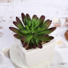 Load image into Gallery viewer, Set of 3 | 4'' Assorted Lotus Artificial Plants with Pots
