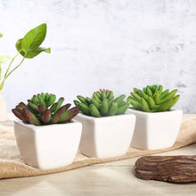 Load image into Gallery viewer, Set of 3 | 4'' Assorted Lotus Artificial Plants with Pots
