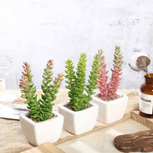 Load image into Gallery viewer, Set of 3 | 8'' Assorted Sedum Oaxacanum Artificial Plants with Pots
