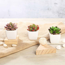 Load image into Gallery viewer, Set of 3 | 3'' Assorted Mini Echeveria Artificial Plants with Pots
