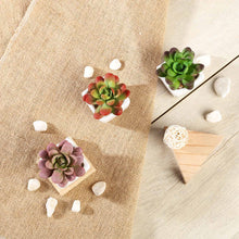 Load image into Gallery viewer, Set of 3 | 3'' Assorted Mini Echeveria Artificial Plants with Pots
