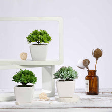 Load image into Gallery viewer, Set of 3 | 4'' Assorted Green Echeveria Artificial Plants with Pots
