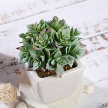 Load image into Gallery viewer, Set of 3 | 4'' Assorted Green Echeveria Artificial Plants with Pots
