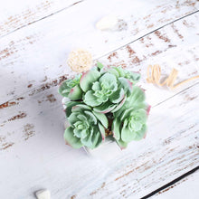 Load image into Gallery viewer, Set of 3 | 5'' Assorted Mini Echeveria Artificial Plants with Pots
