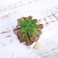 Load image into Gallery viewer, Set of 3 | 5'' Assorted Echeveria or Grape Artificial Plants with Pots
