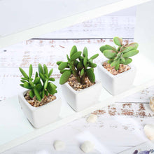 Load image into Gallery viewer, Set of 3 | 3'' Assorted Green Mini Artificial Plants with Pots
