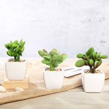 Load image into Gallery viewer, Set of 3 | 3'' Assorted Green Mini Artificial Plants with Pots
